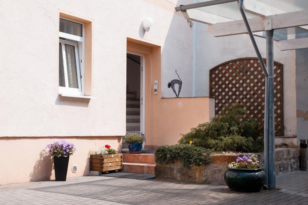 Apartment Dresden Neustadt Εξωτερικό φωτογραφία